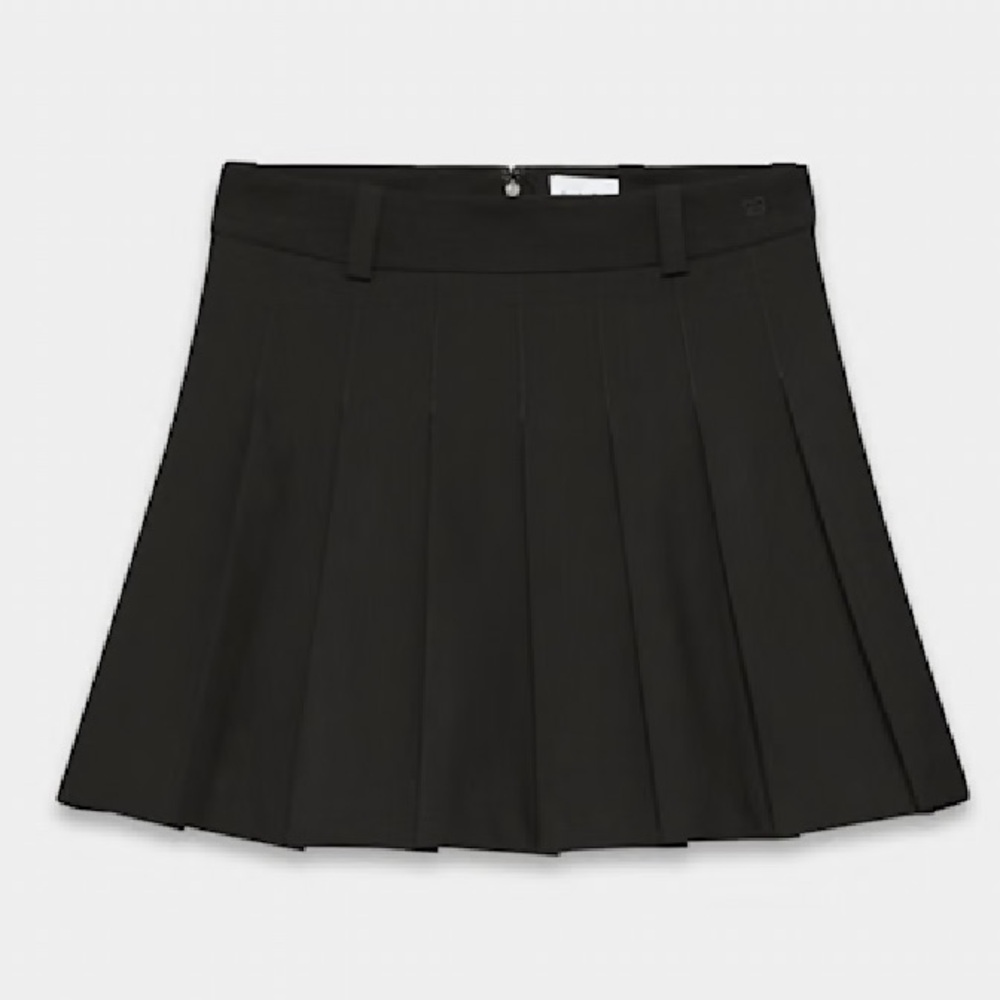 Aritzia Pleated Skirt